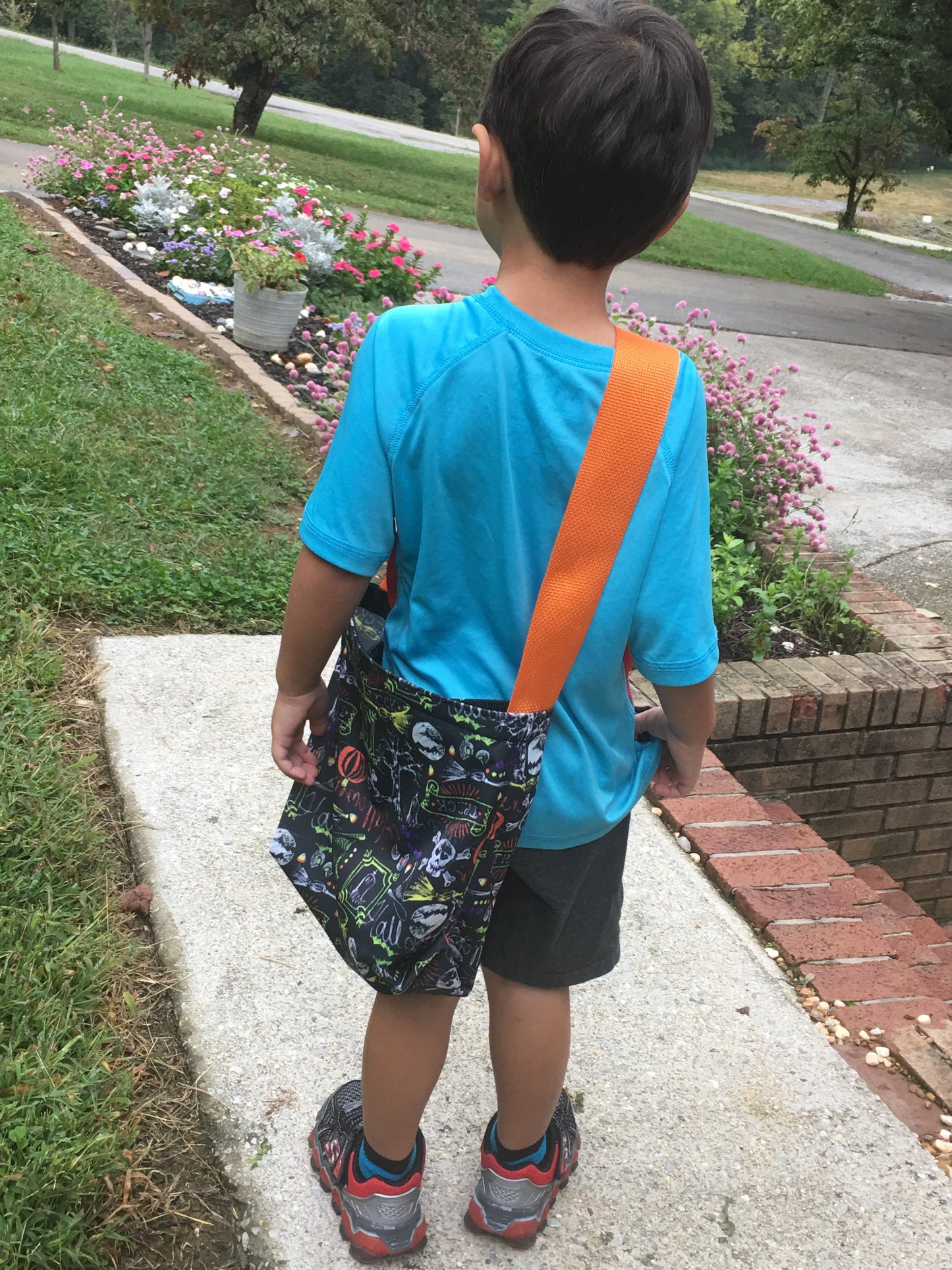 Blueberry Trick or Treat Bags