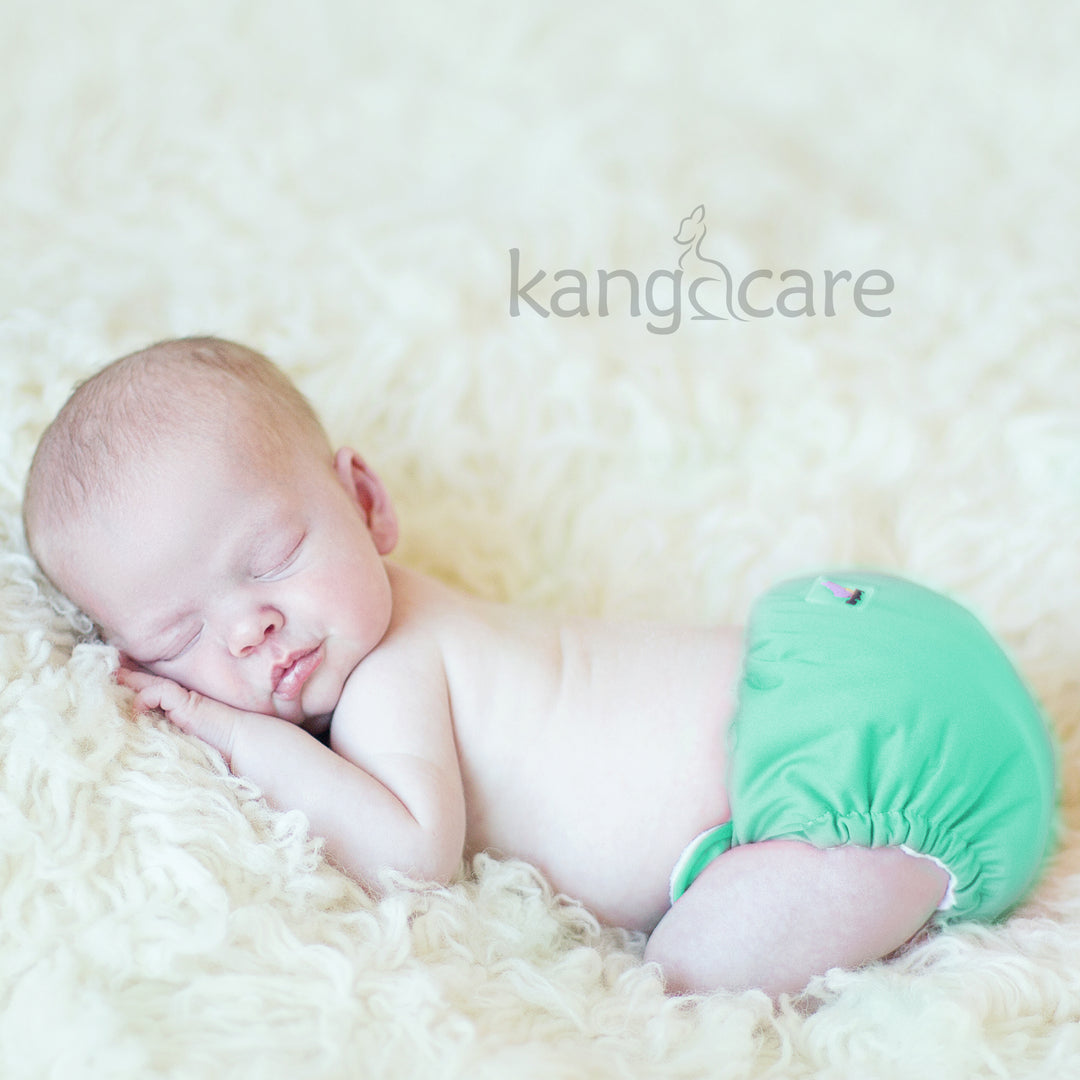 Lil Joey Newborn AIO Cloth Diaper :: 2pk